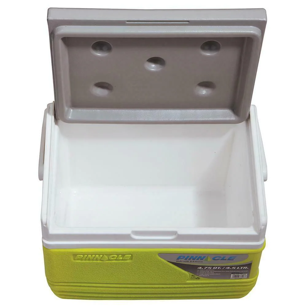 1758868395222-310422391-pinnacle-eskimo-green-insulated-plastic-cooler-box-4-5-l-product-images-o491378469-p590639777-3-202203151135.webp